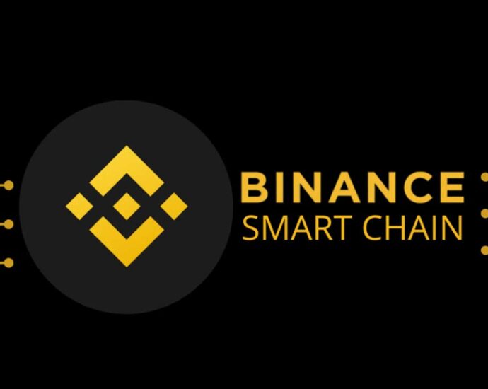 What Is Binance Smart Chain platforms ?